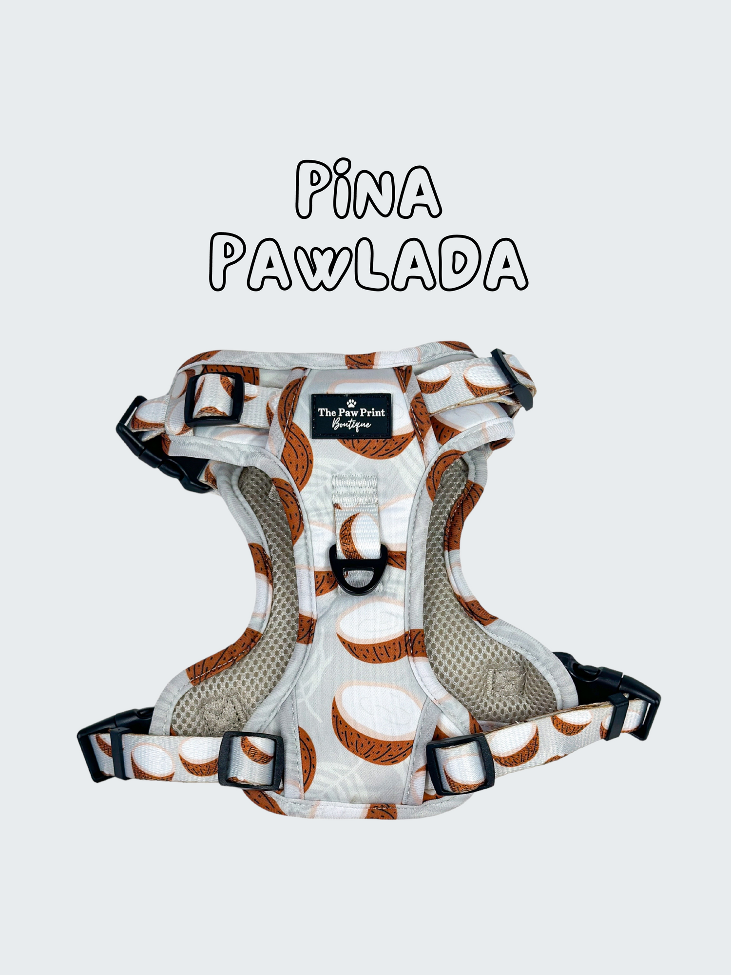 The Pina Pawlada Collection