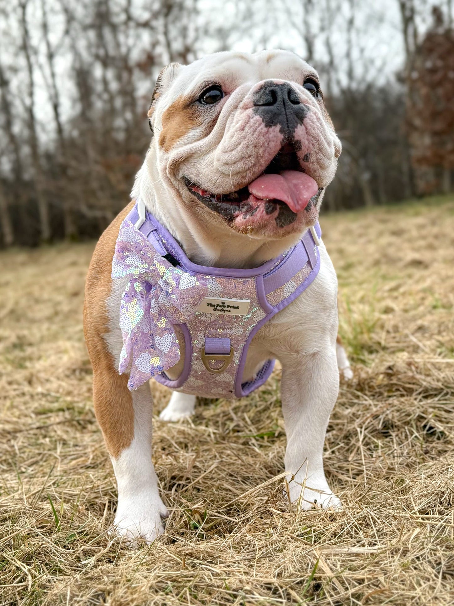 The Sassy in Sequins - Lilac Bow Tie