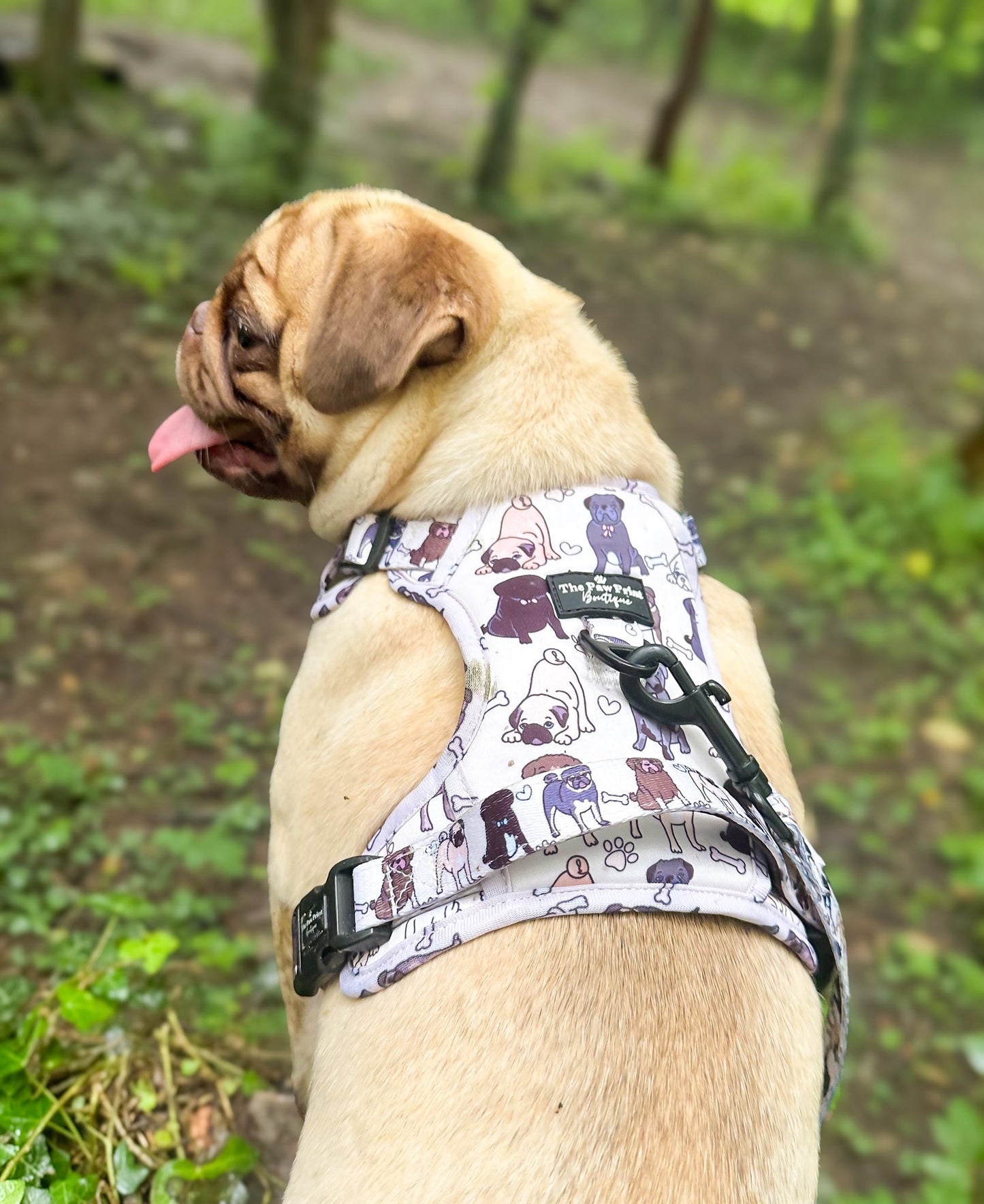 The Pug Adventure Paws Harness