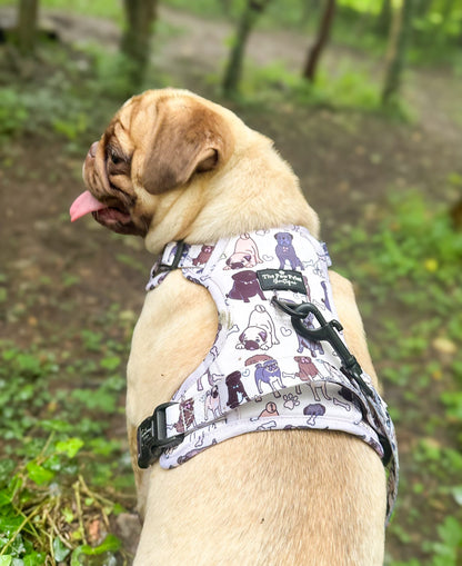 The Pug Adventure Paws Harness