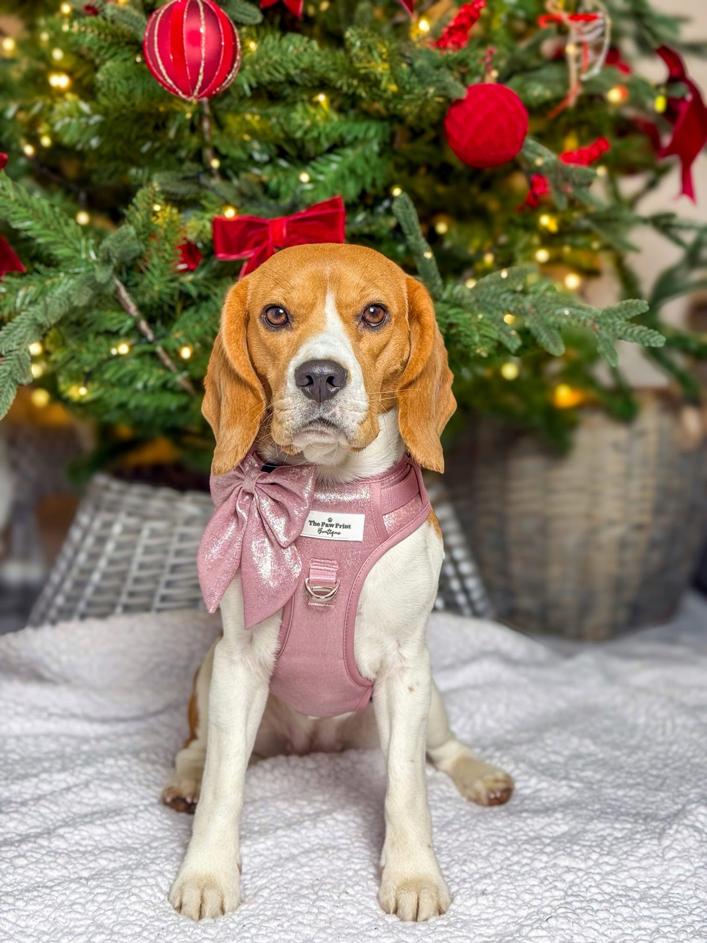 The Pink Pearl Bow Tie