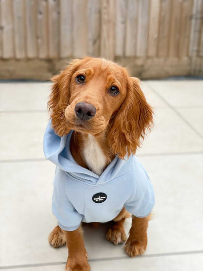 Dog Hoodie - Baby Blue