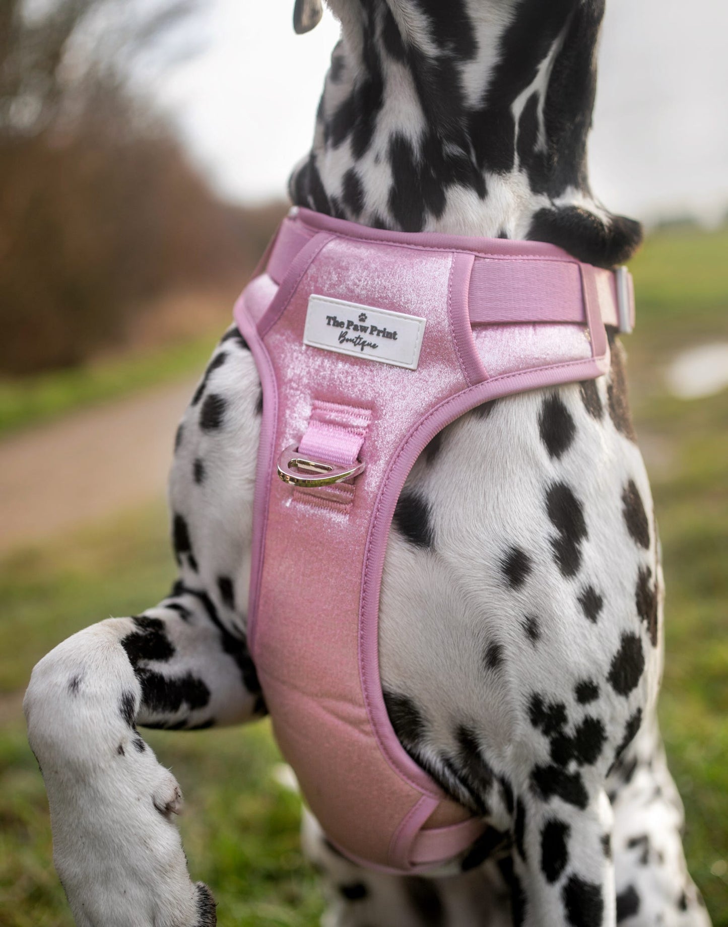 The Pink Pearl Adventure Paws Harness