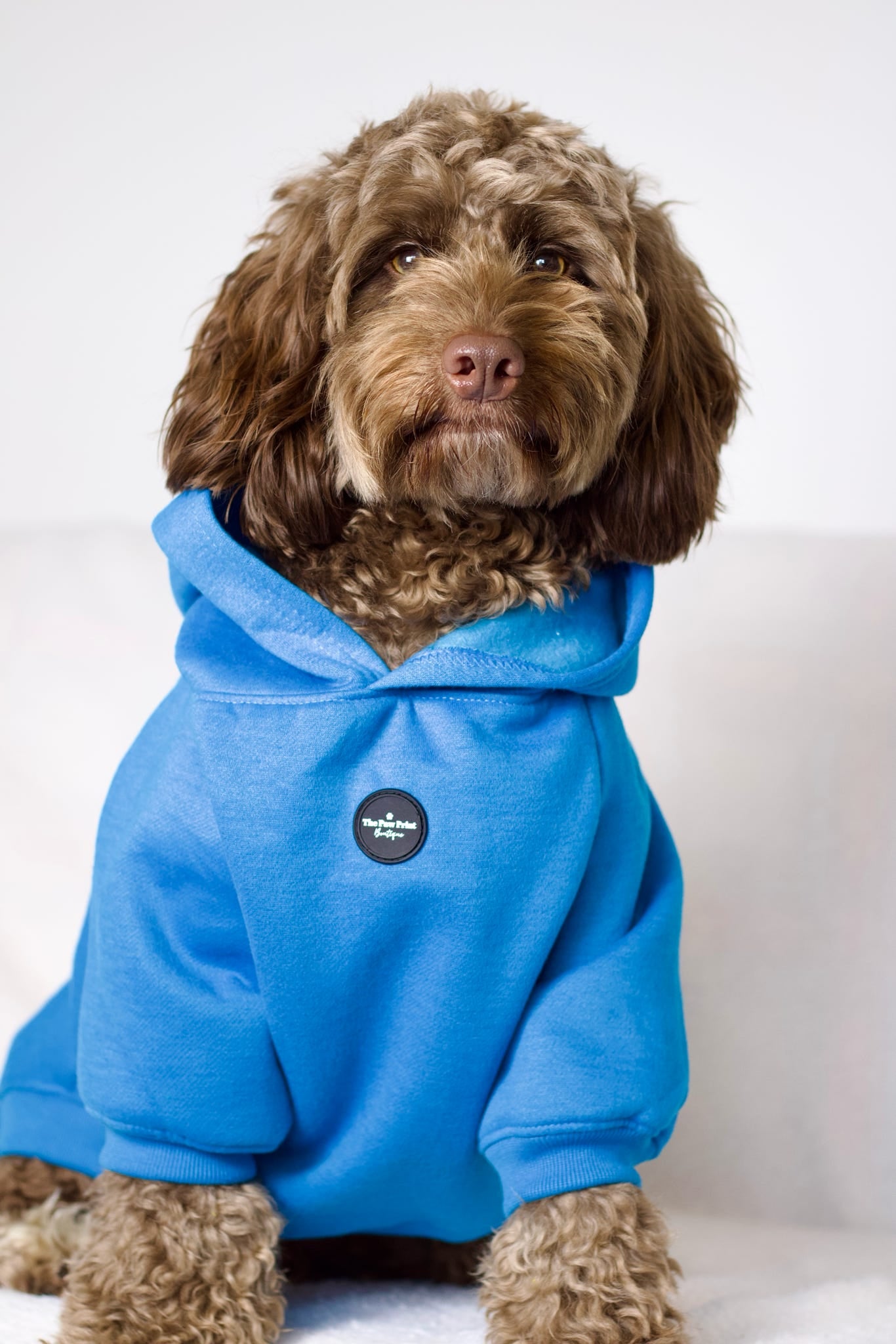 Dog Hoodie - Cobalt Blue