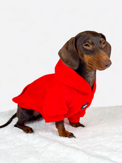 Dog Hoodie - Red