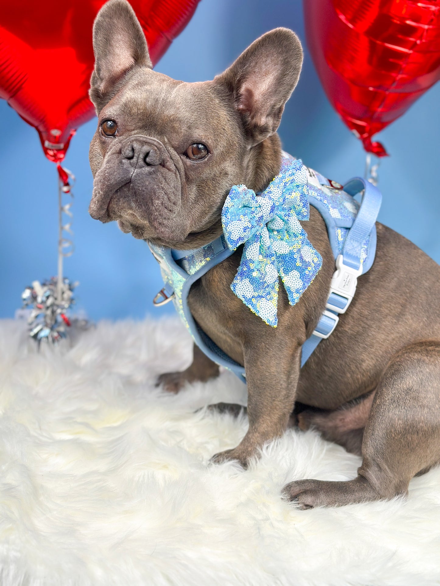 The Sassy in Sequins - Baby Blue Bow Tie