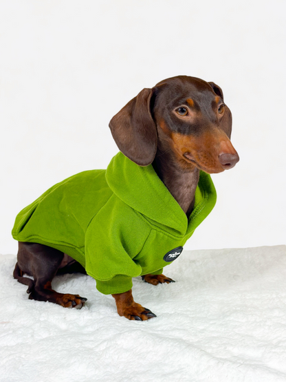 Dog Hoodie - Olive