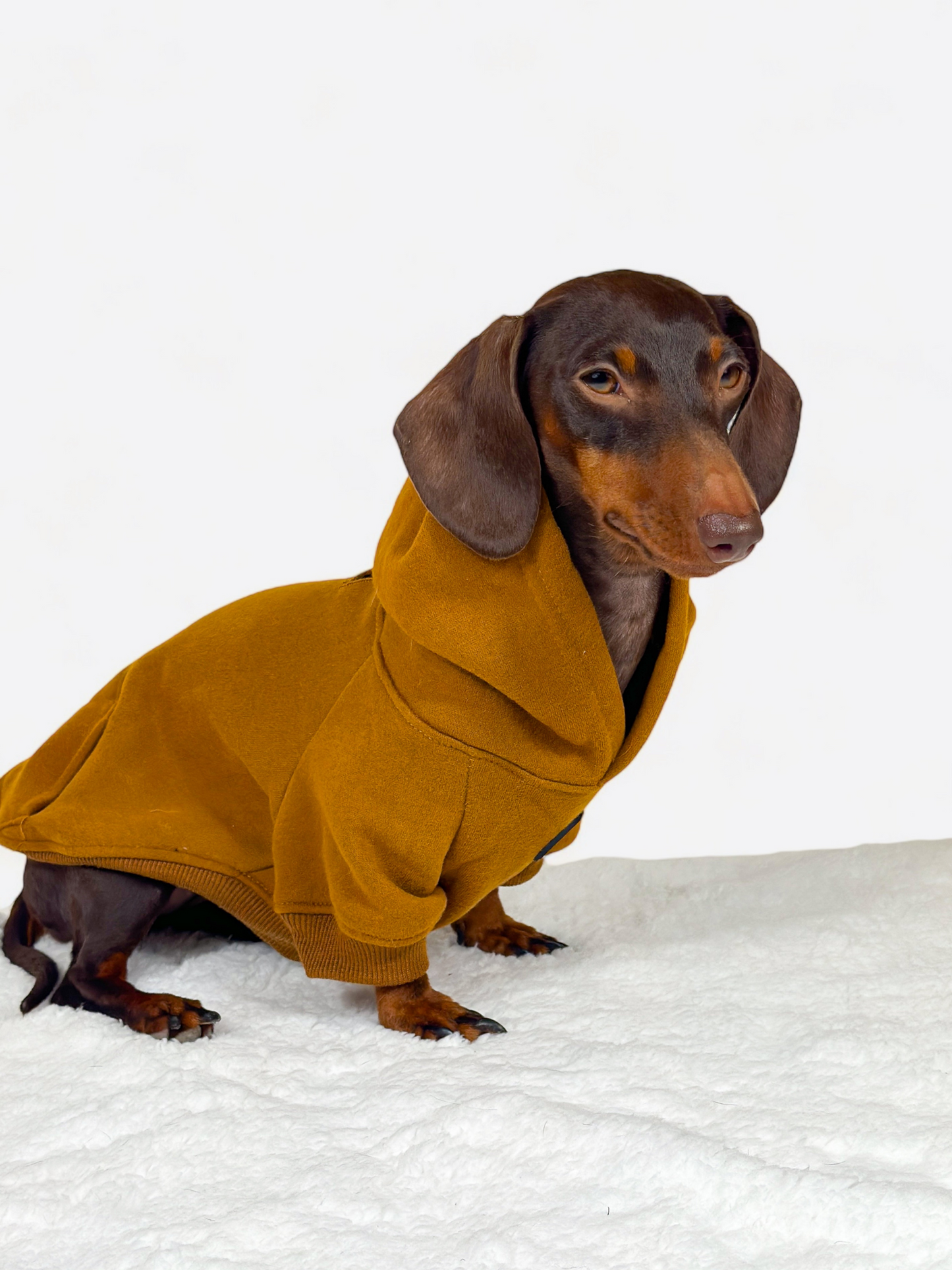 Dog Hoodie - Brown