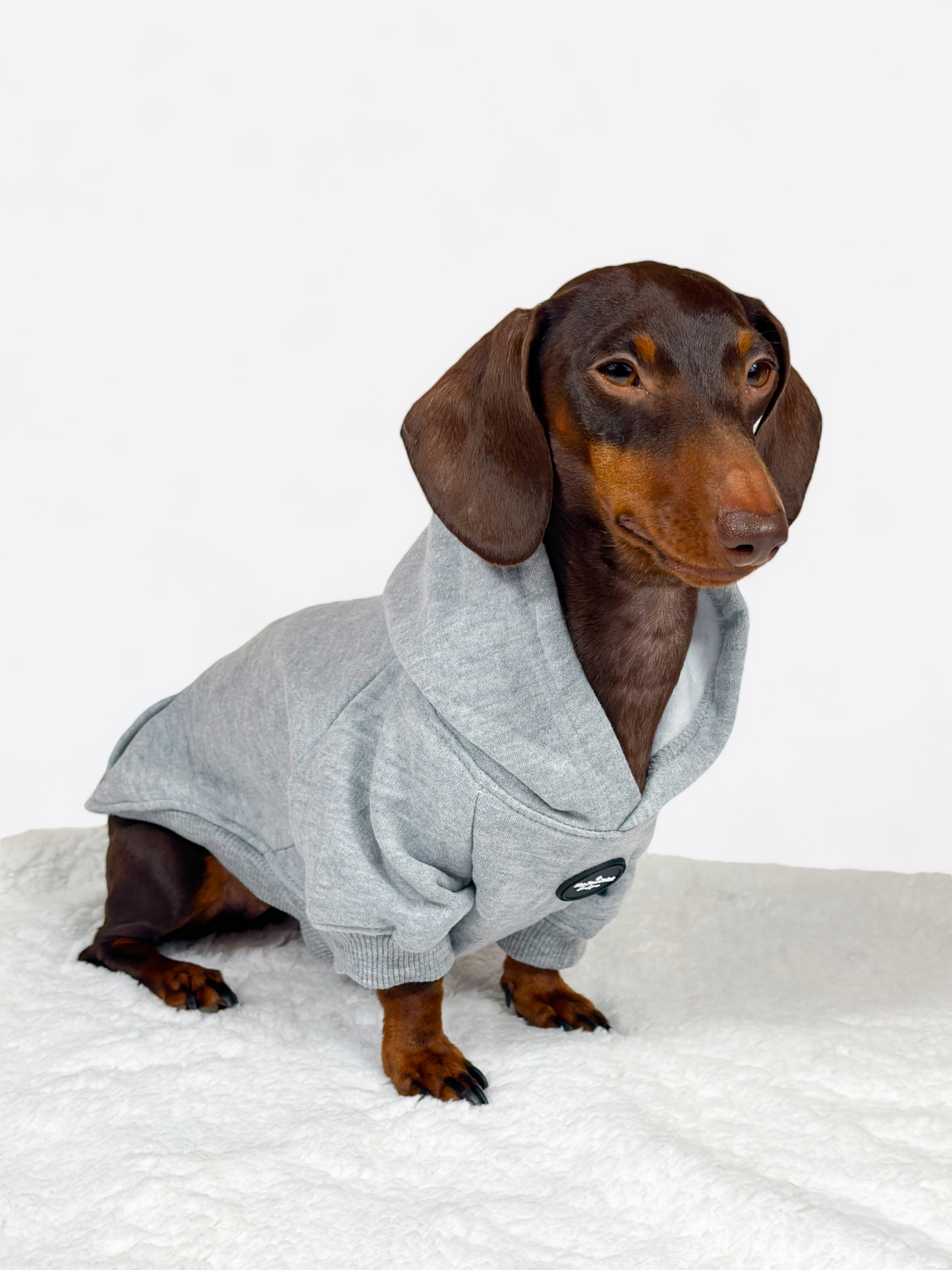 Dog Hoodie - Light Grey