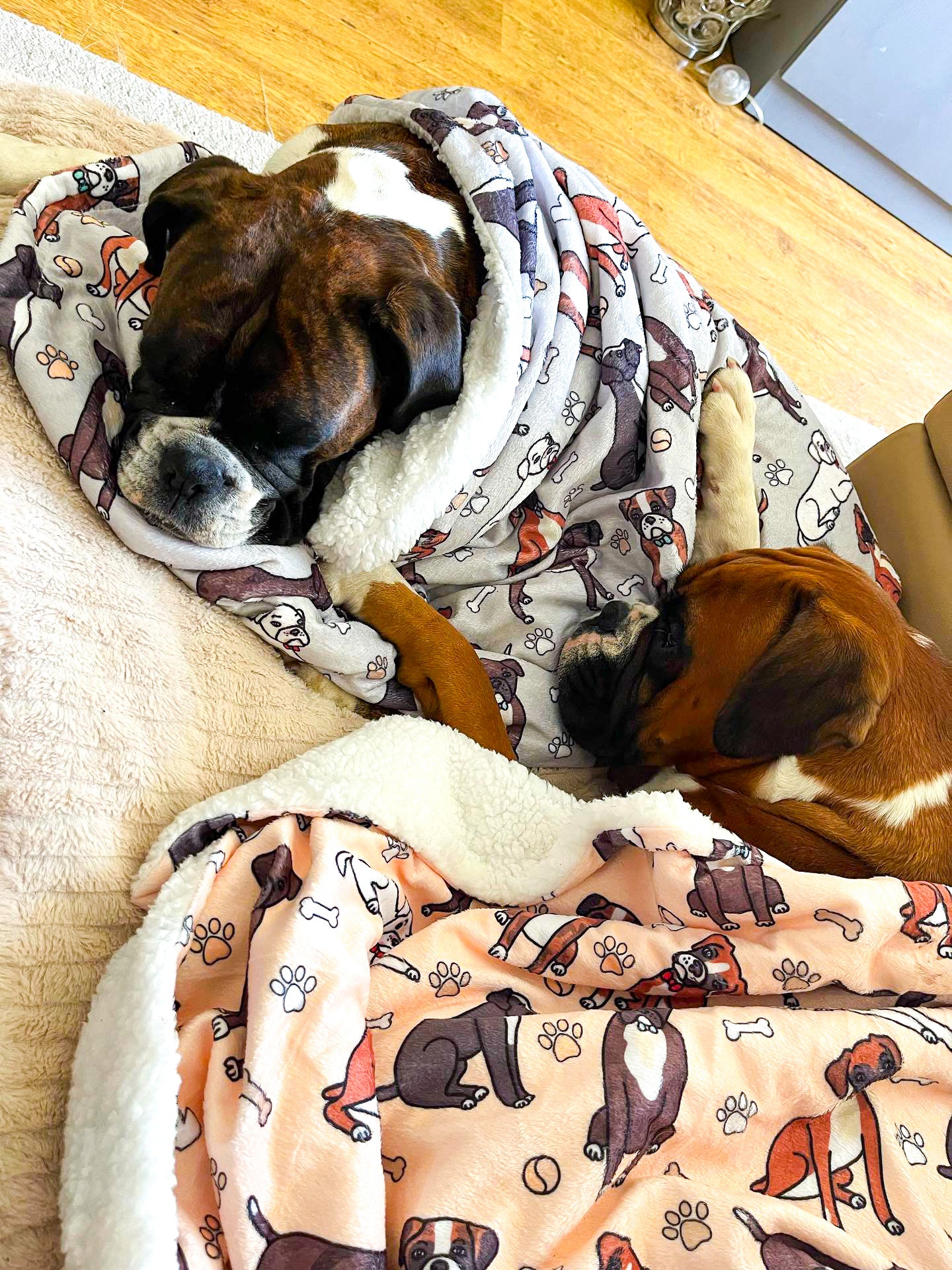 Boxer dog fleece clearance blanket