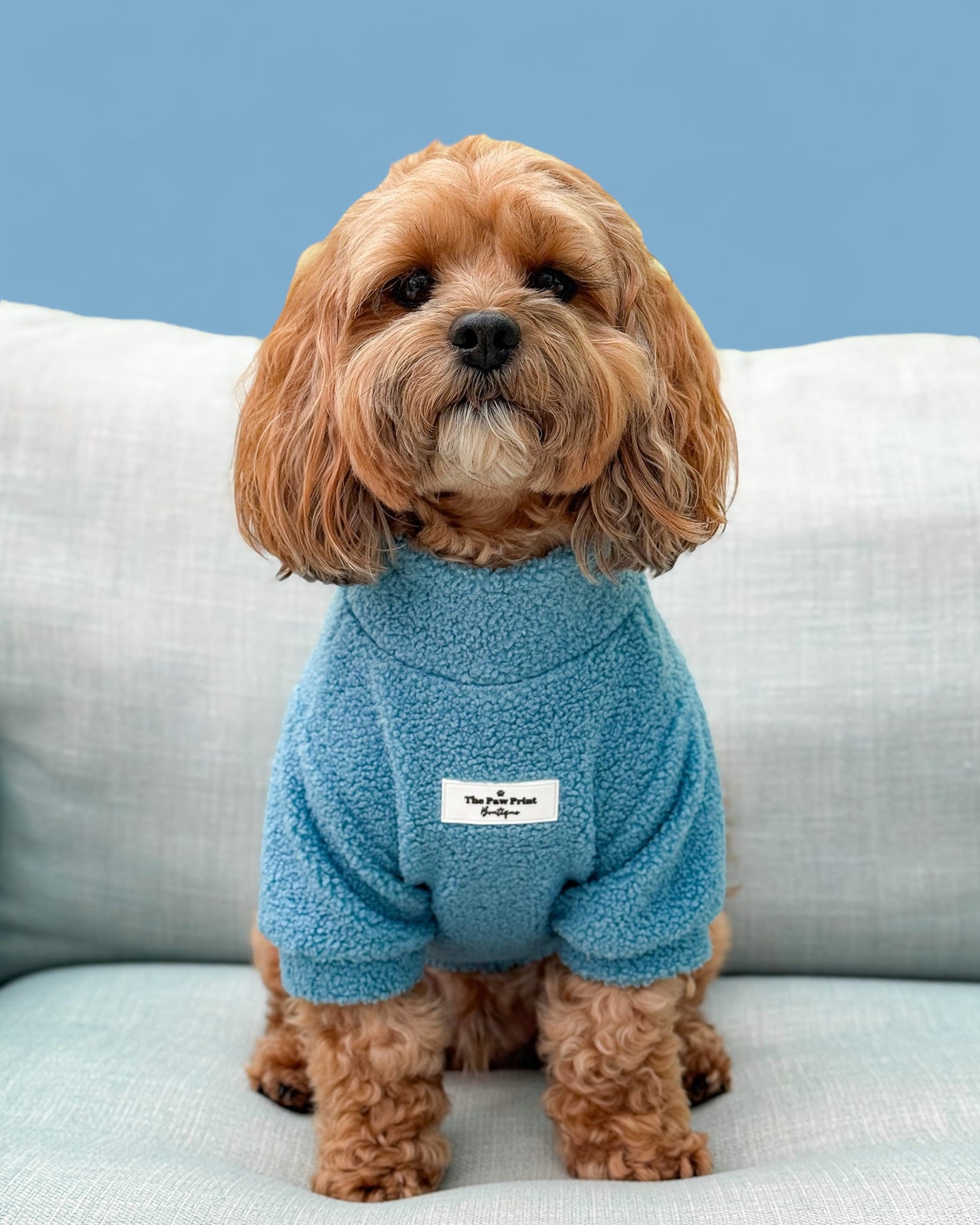 The Sky Blue Teddy Fleece