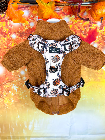 The Leopawrd Pupkins Adventure Paws Harness