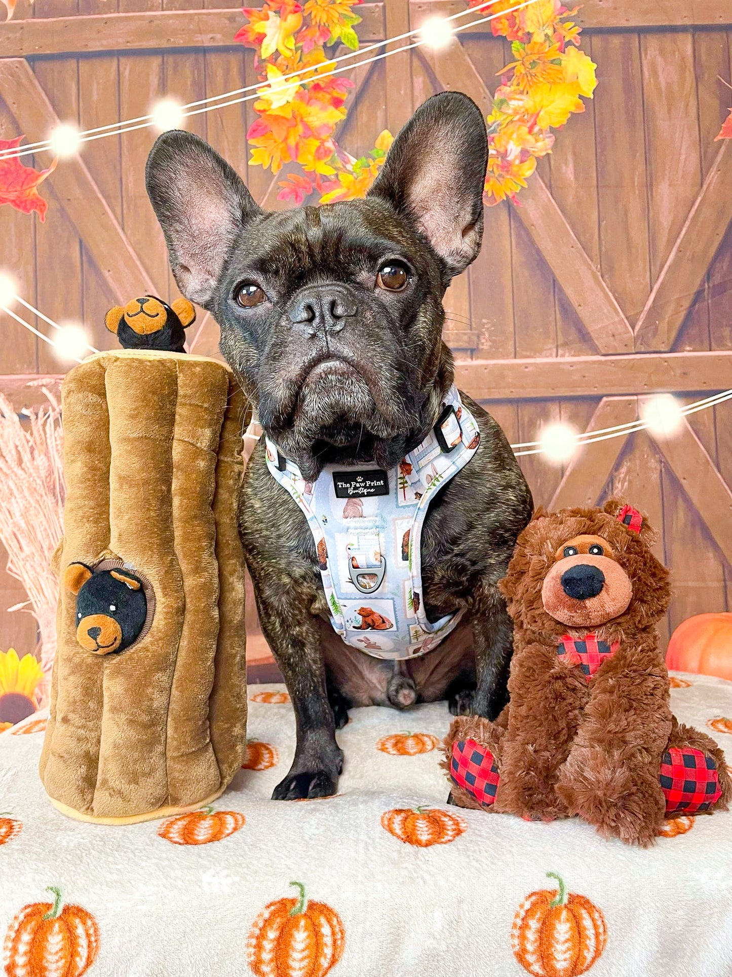 The Woodland Stamps Adventure Paws Harness