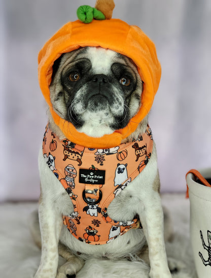 The Happy Howloween Harness