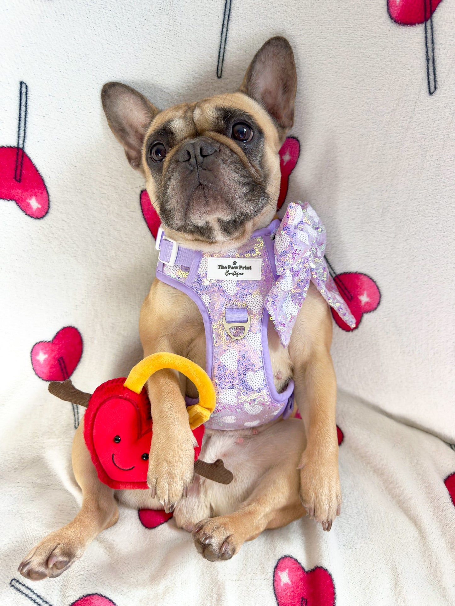 The Sassy in Sequins - Lilac Bow Tie