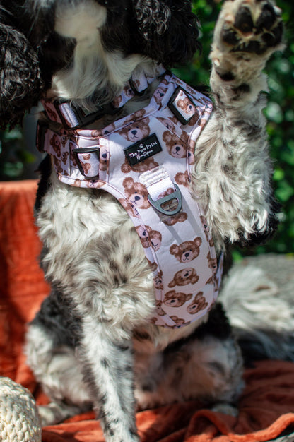 The Little Bear Cub Adventure Paws Harness