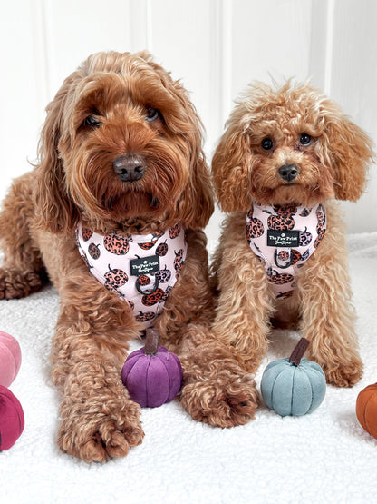 The Leopawrd Pupkins Adjustable Harness