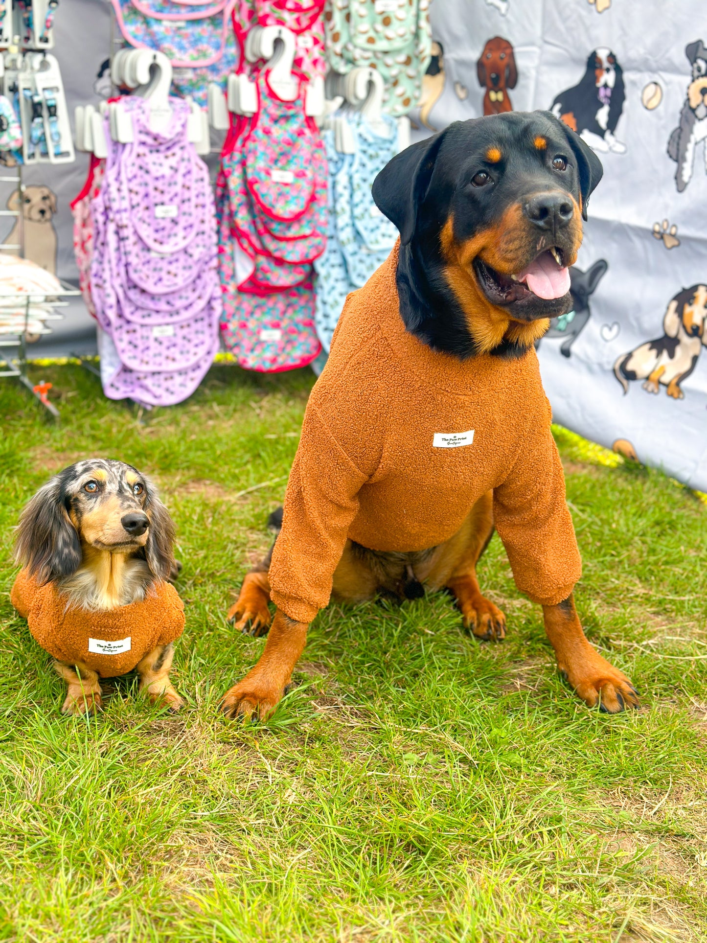 The Gingerbread Teddy Fleece