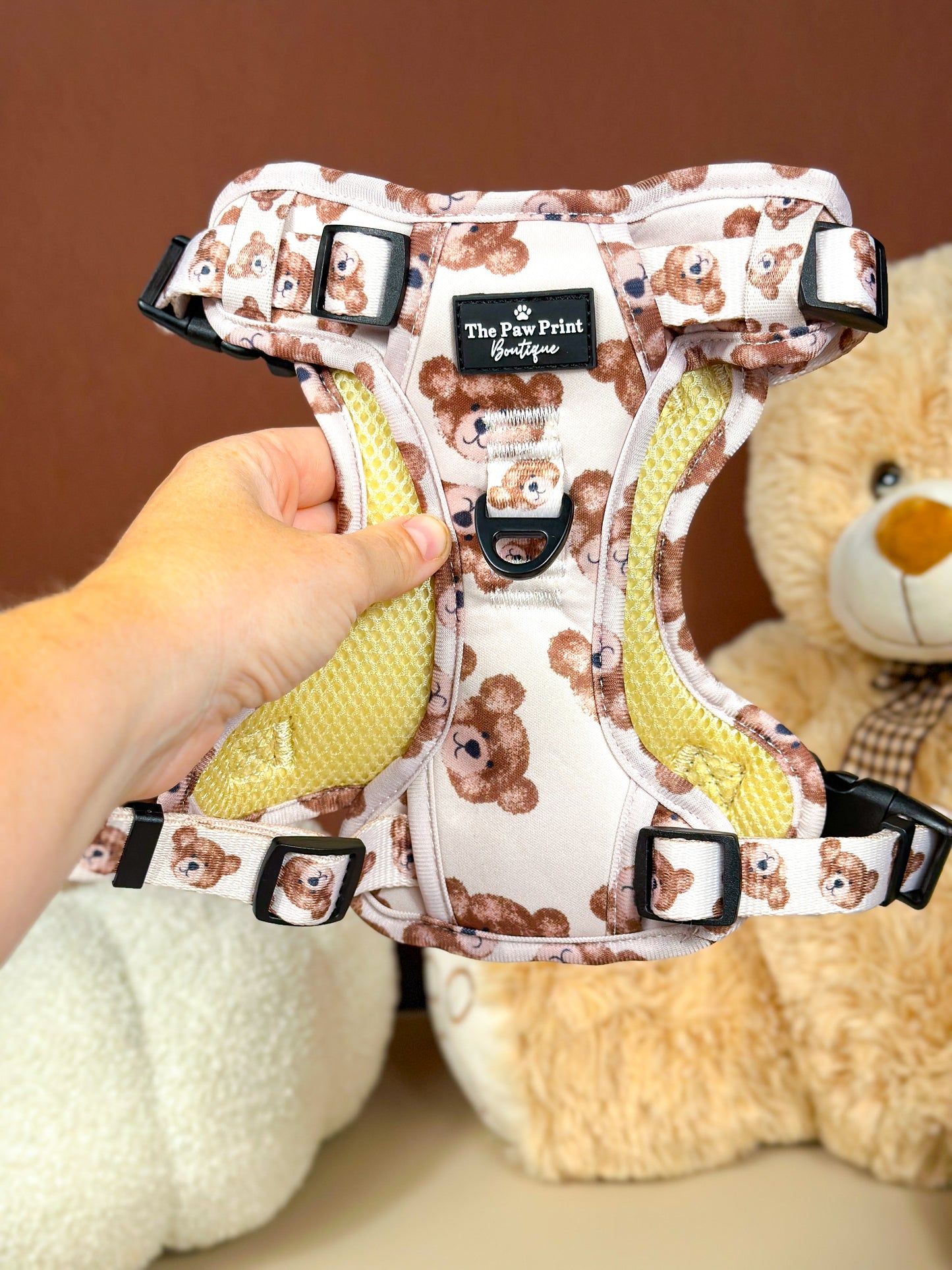 The Little Bear Cub Adventure Paws Harness