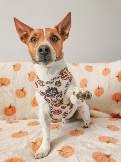 The Leopawrd Pupkins Adjustable Harness