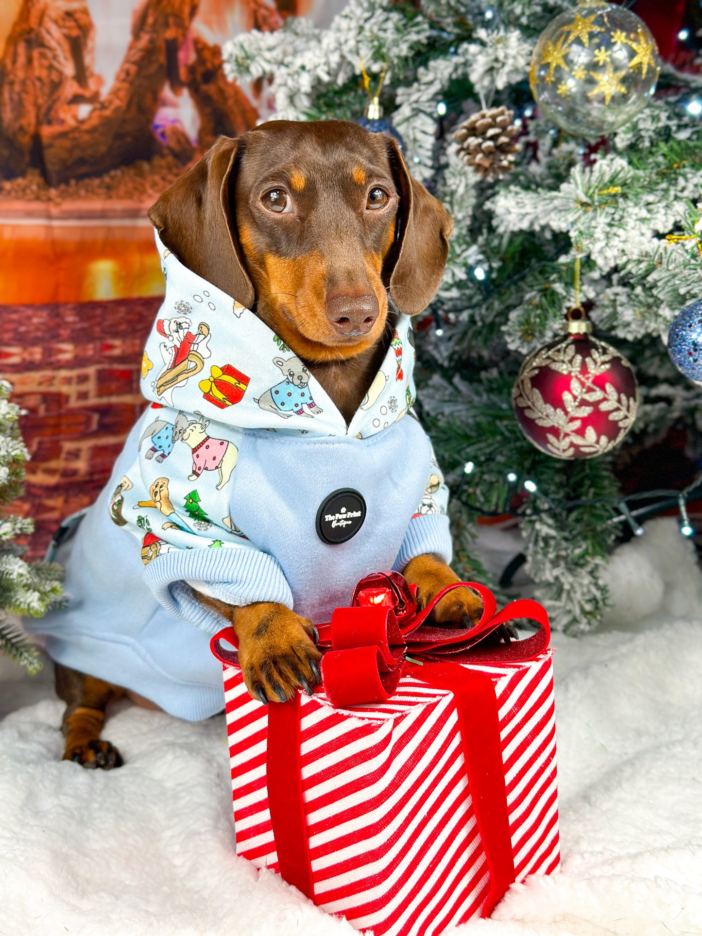 The Santa Paws Dog Hoodie