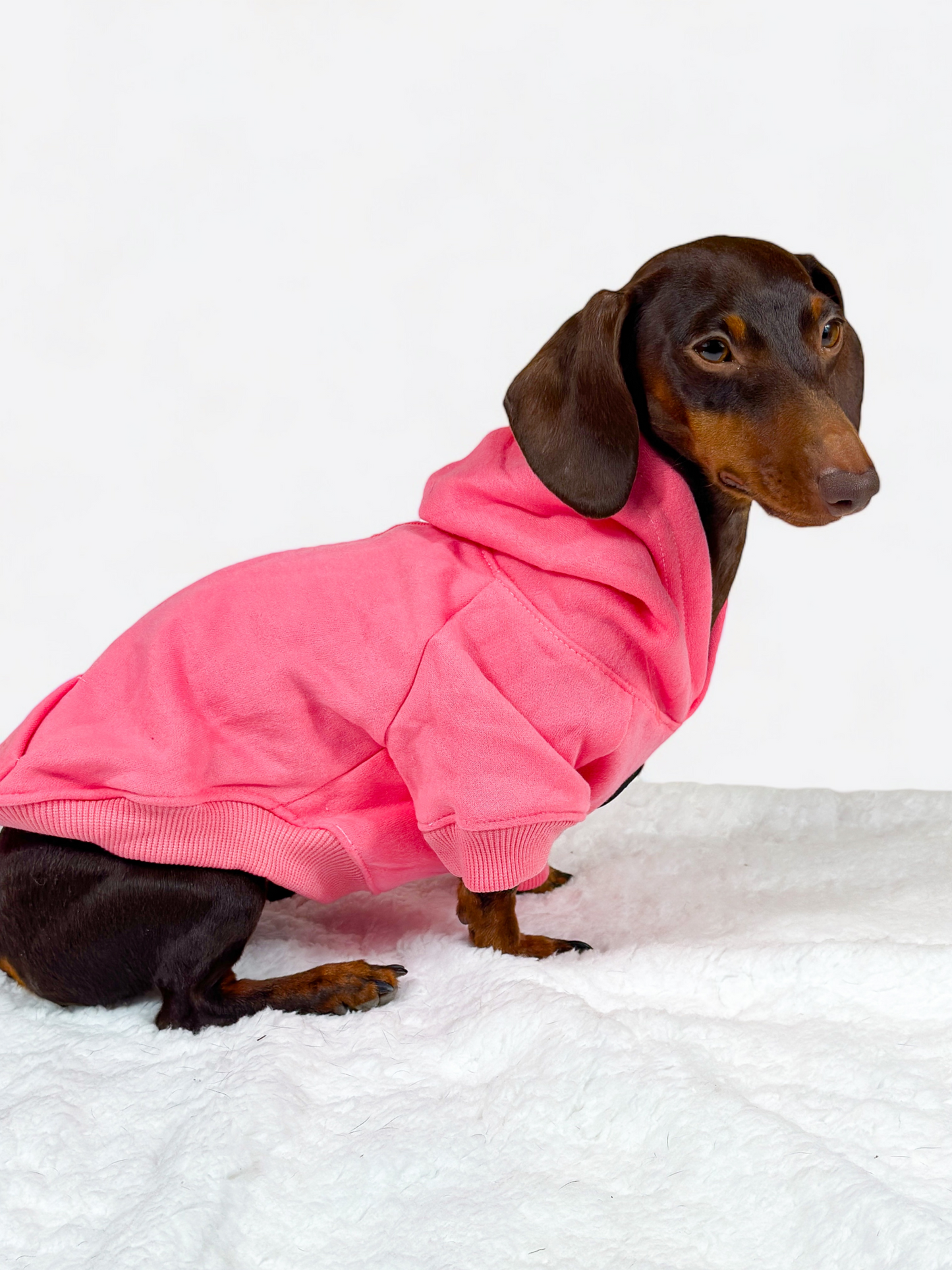 Dog Hoodie - Hot Pink