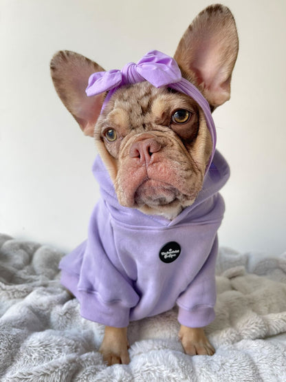 Dog Hoodie - Lilac