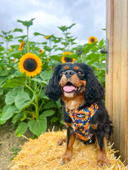 The Sunflower Field Adjustable Harness