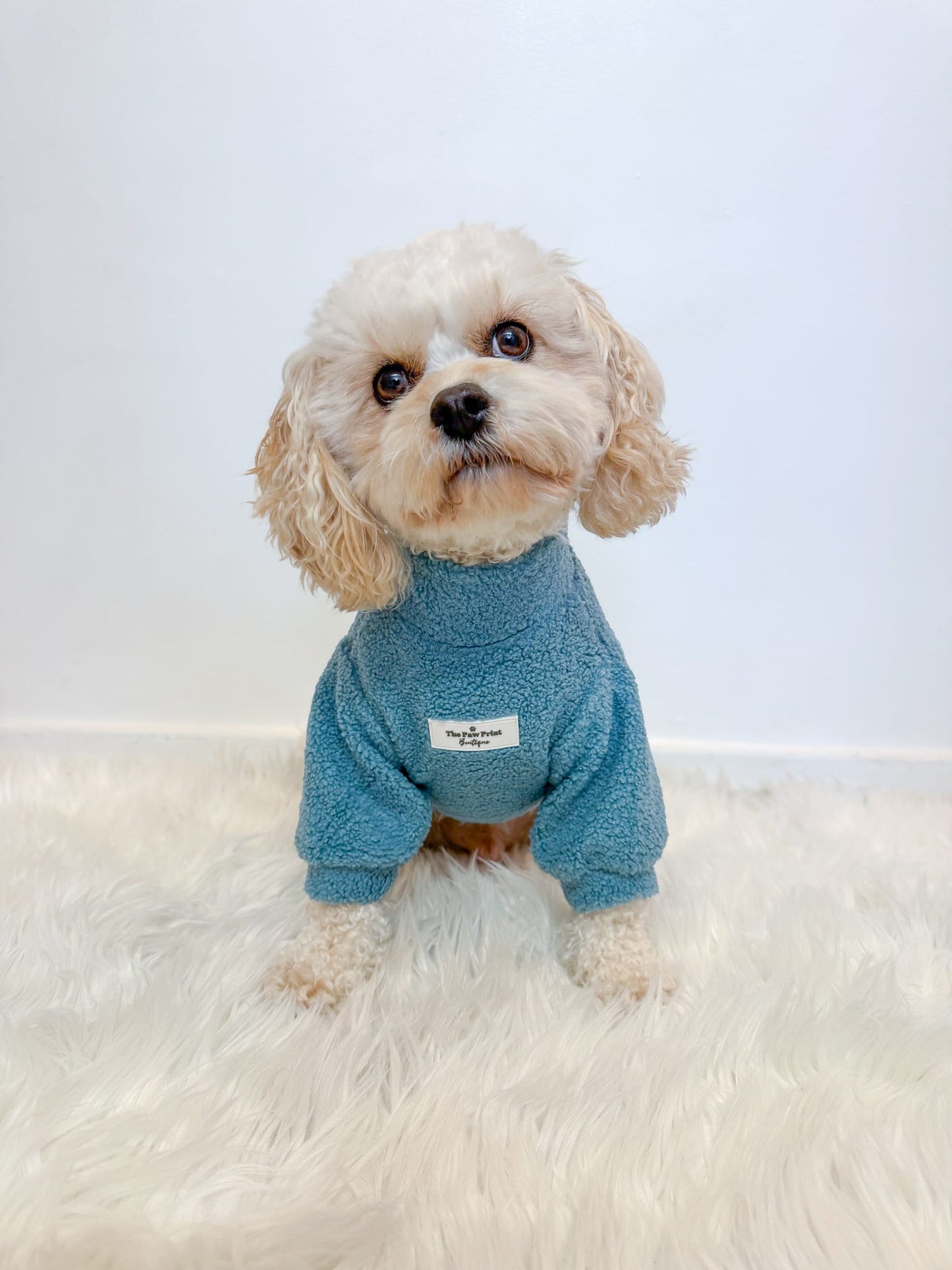 The Sky Blue Teddy Fleece