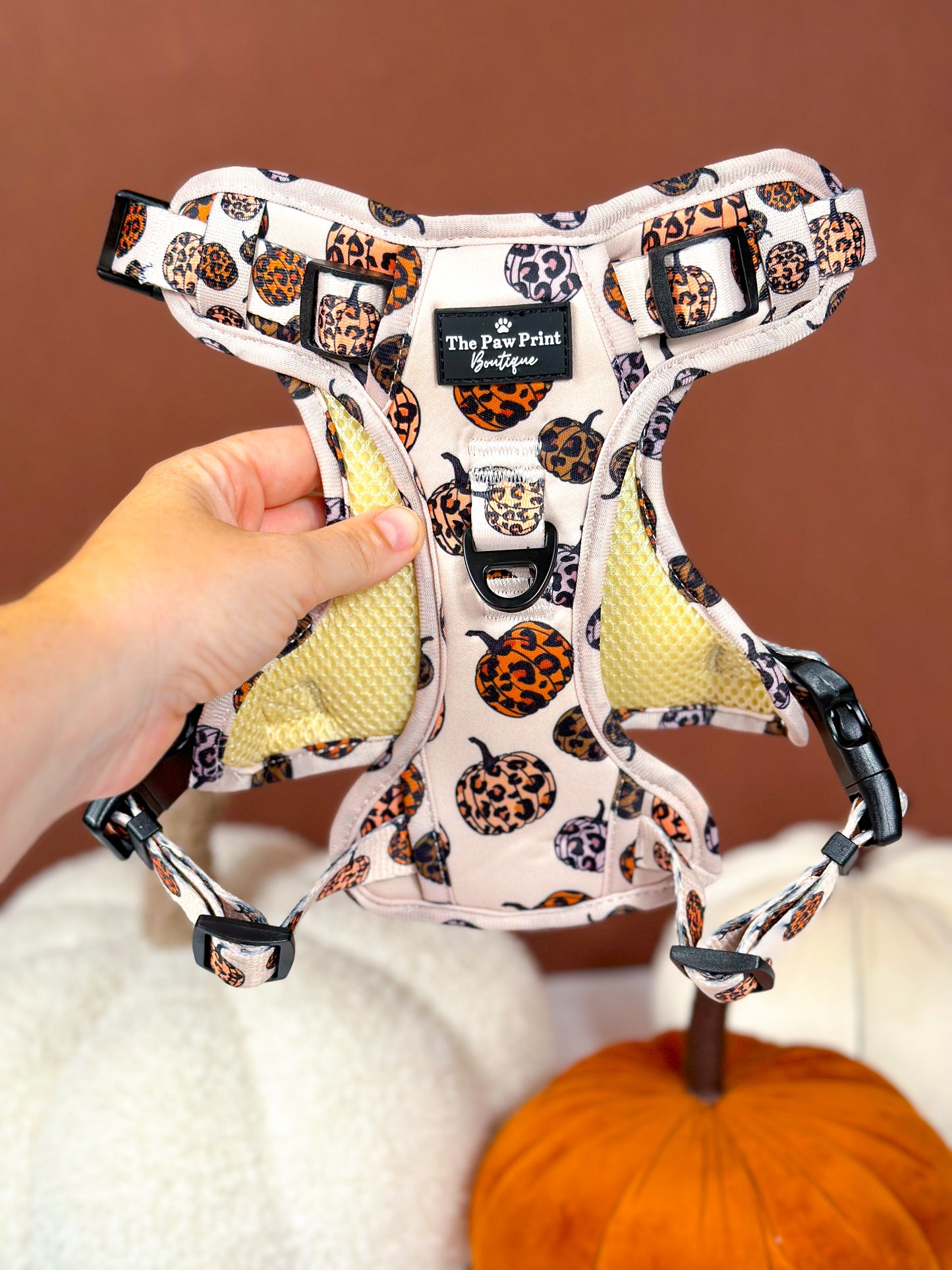 The Leopawrd Pupkins Adventure Paws Harness