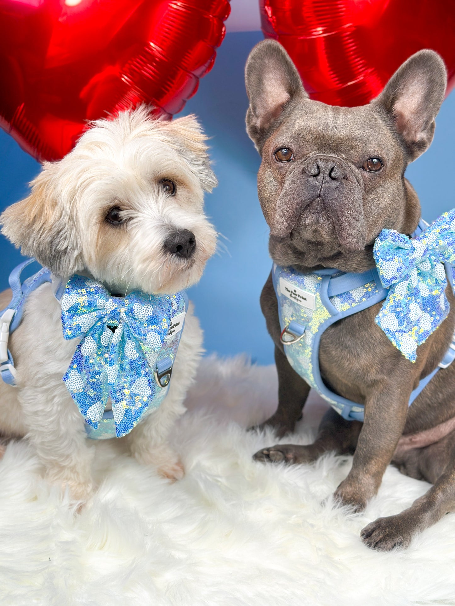 The Sassy in Sequins - Baby Blue Bow Tie