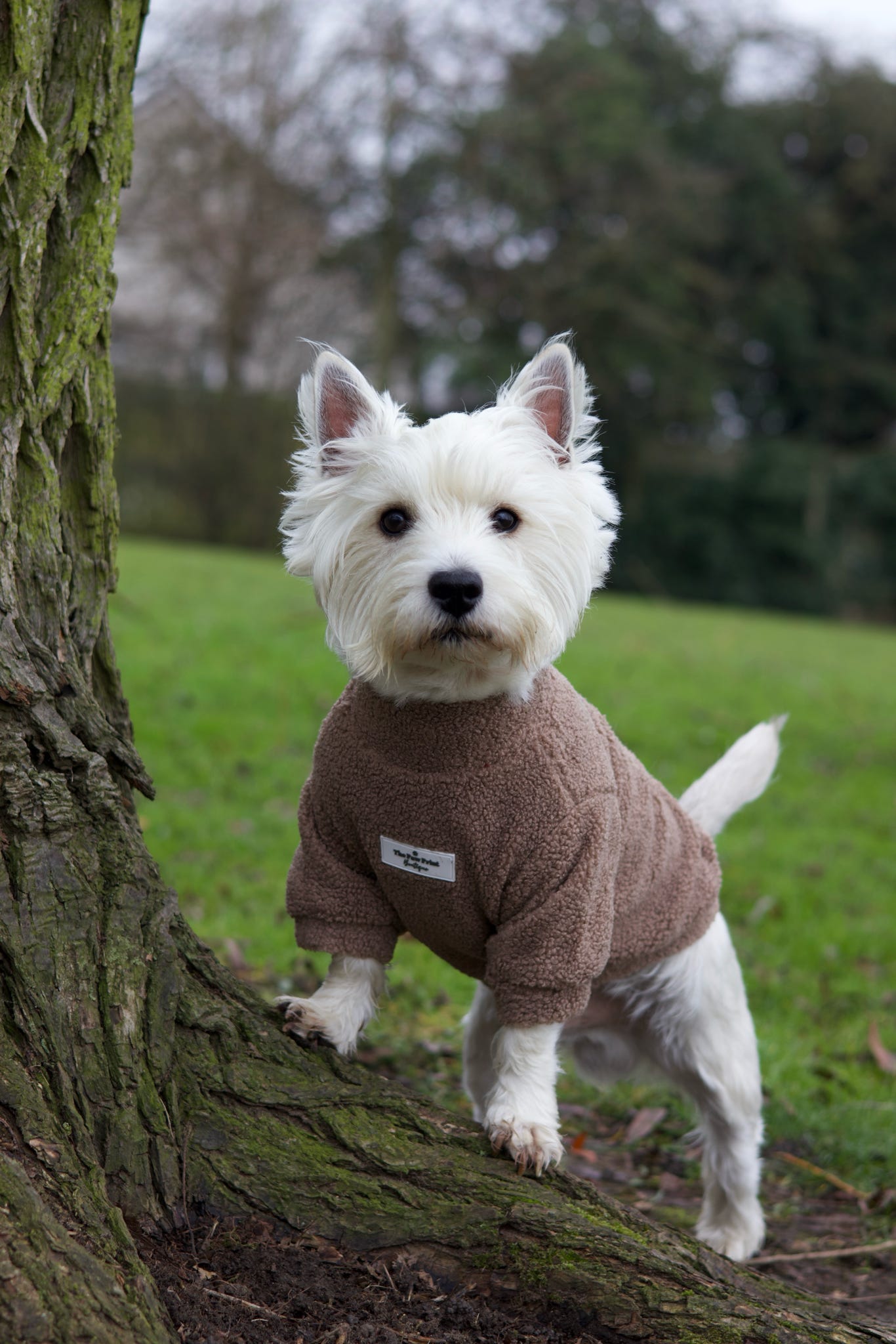 The Mocha Teddy Fleece