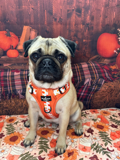 The UnbeLEAFable Adventure Paws Harness (Tough)