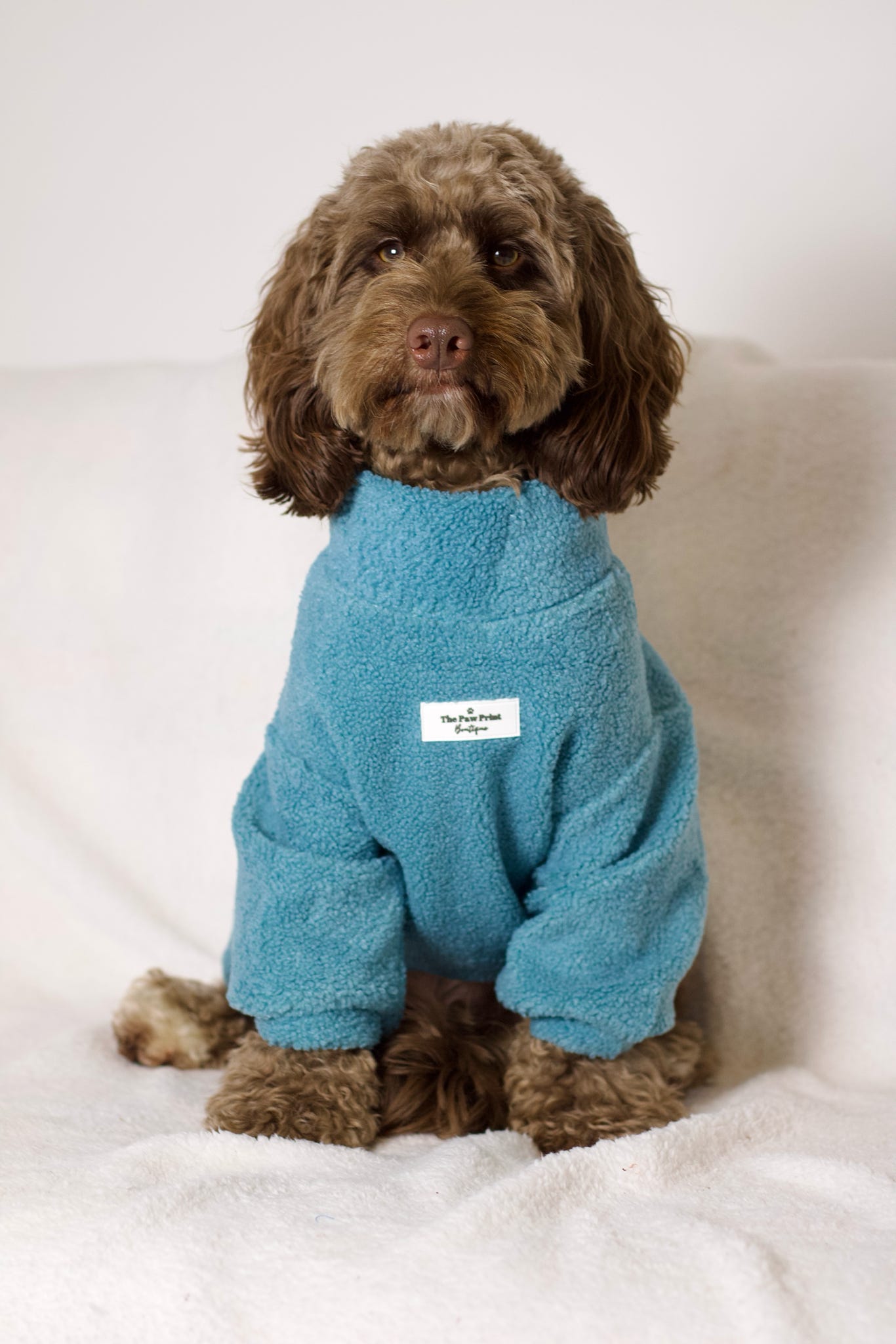 The Sky Blue Teddy Fleece