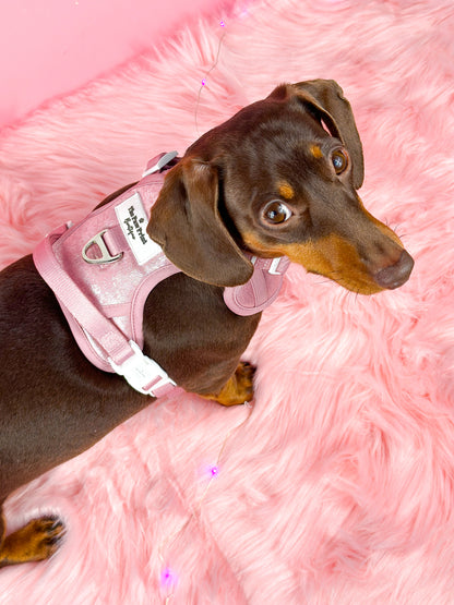 The Pink Pearl Adventure Paws Harness