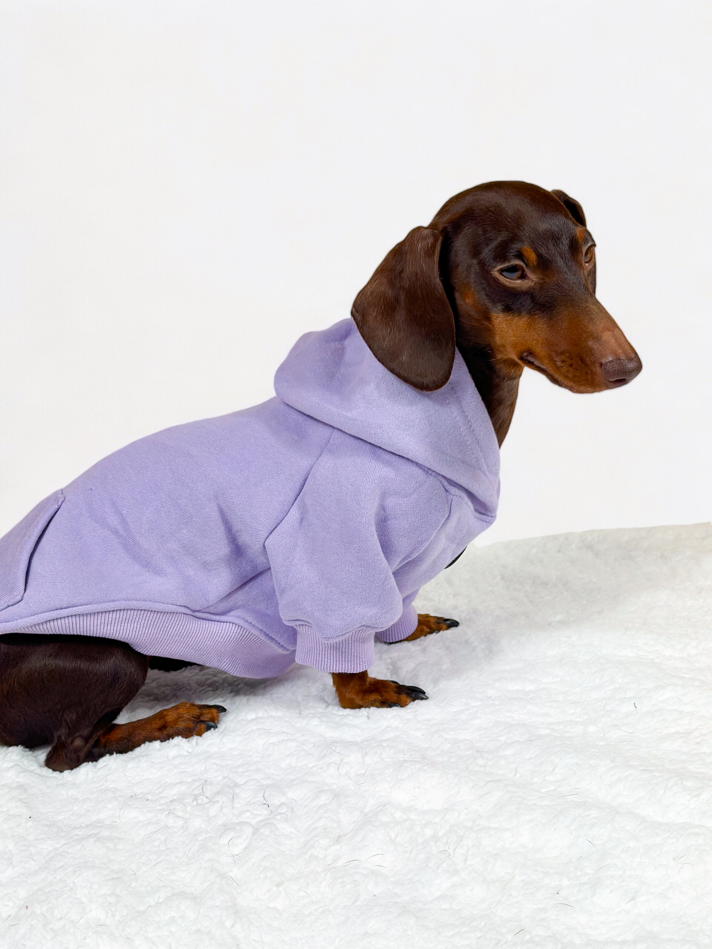 Dog Hoodie - Lilac