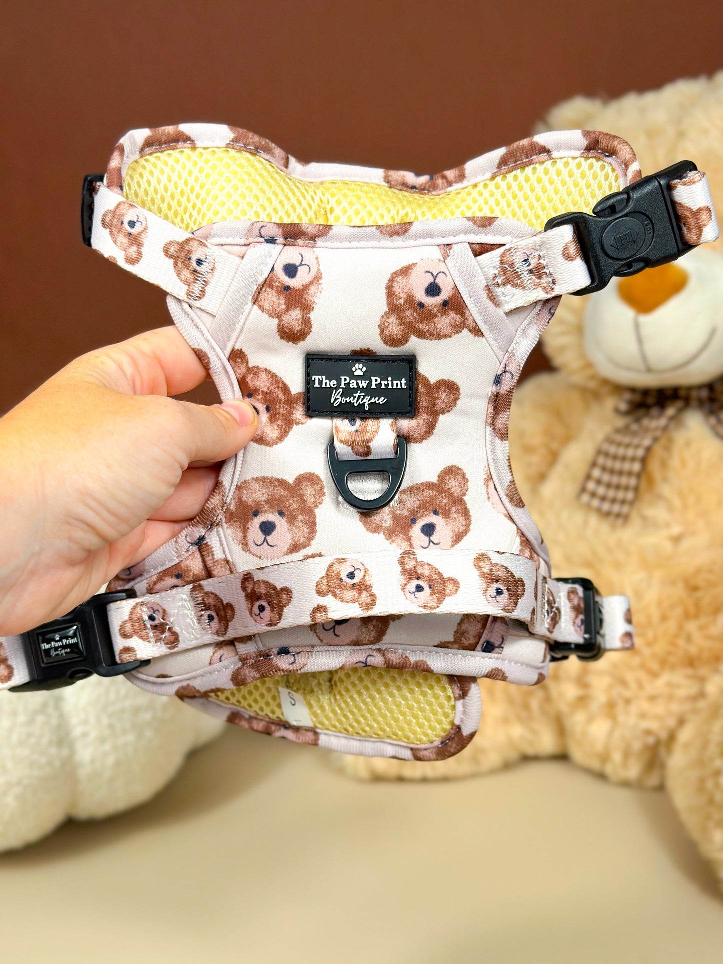 The Little Bear Cub Adventure Paws Harness