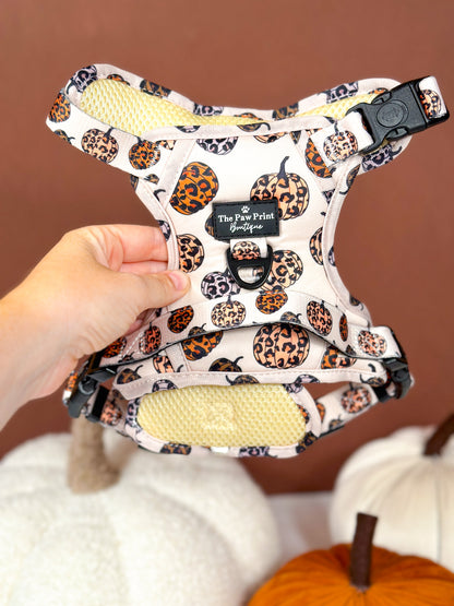 The Leopawrd Pupkins Adventure Paws Harness