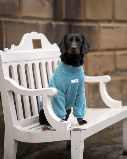 The Sky Blue Teddy Fleece