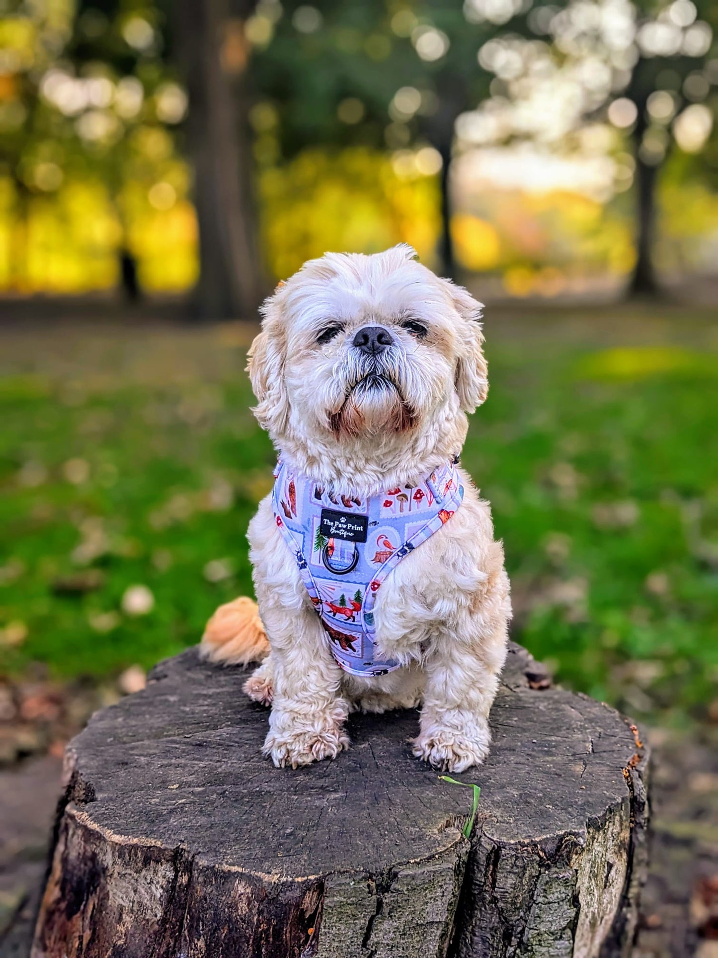 The Woodland Stamps Adjustable Harness