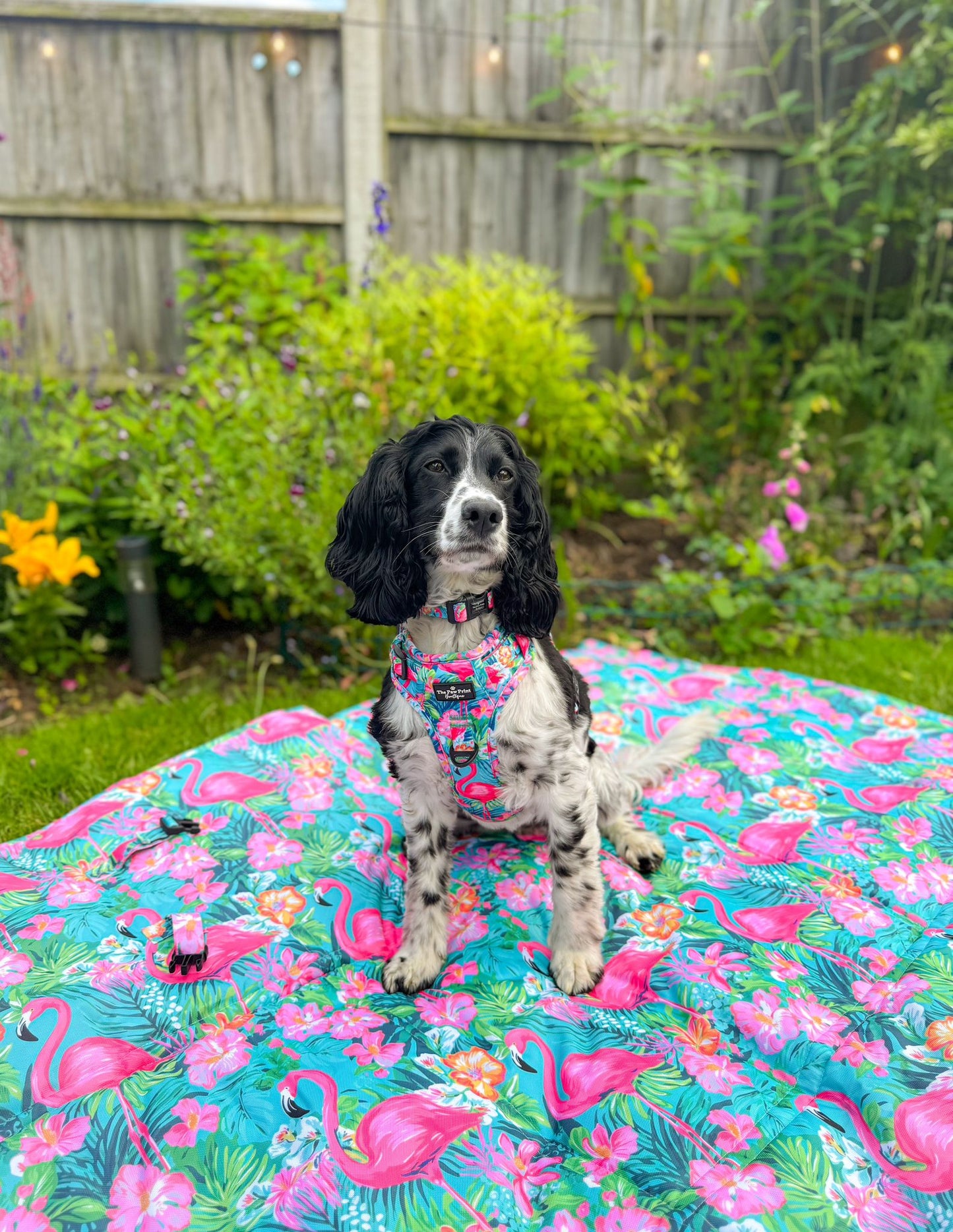 Tropical Pawradise Picnic Mat