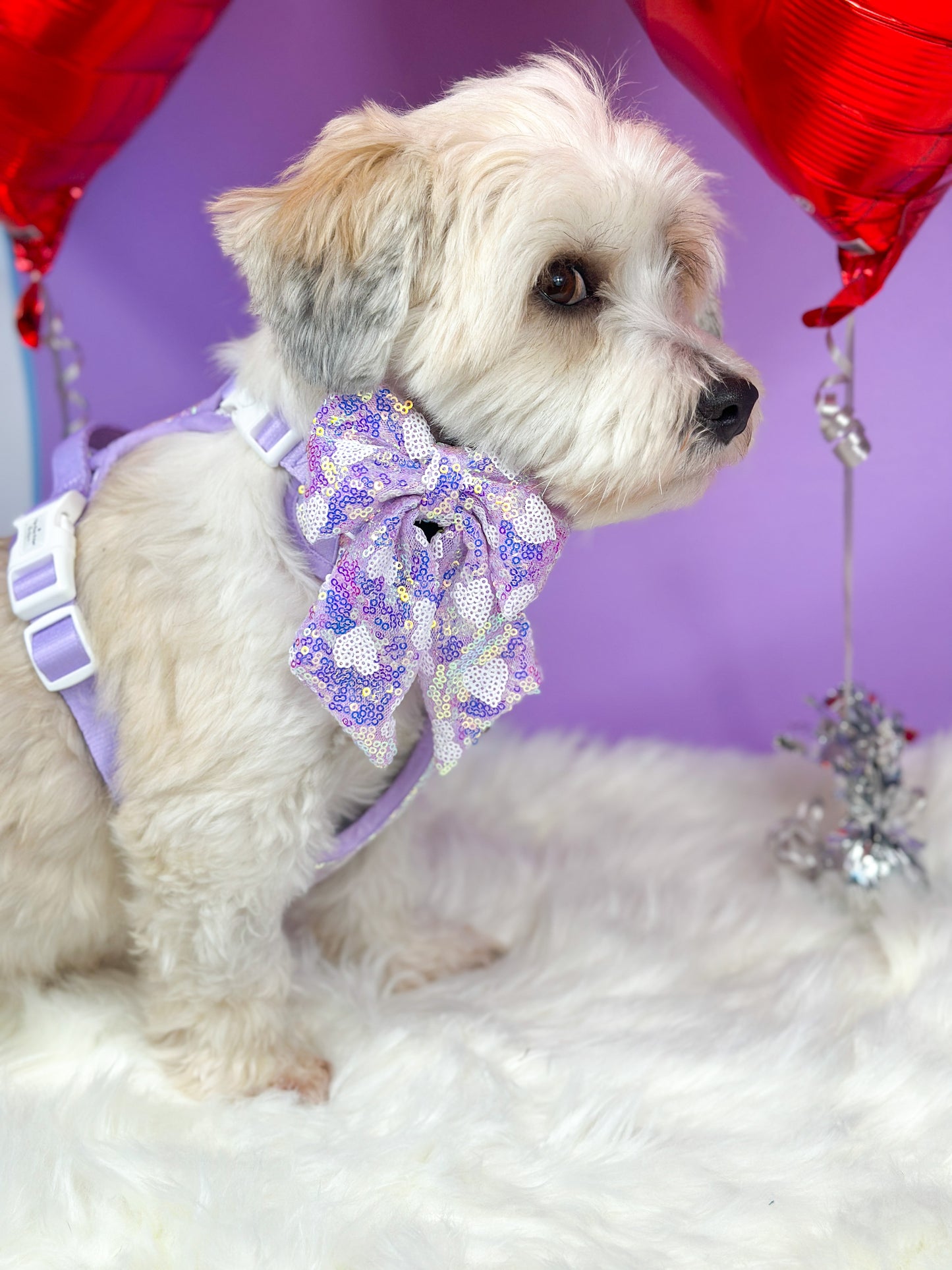 The Sassy in Sequins - Lilac Bow Tie