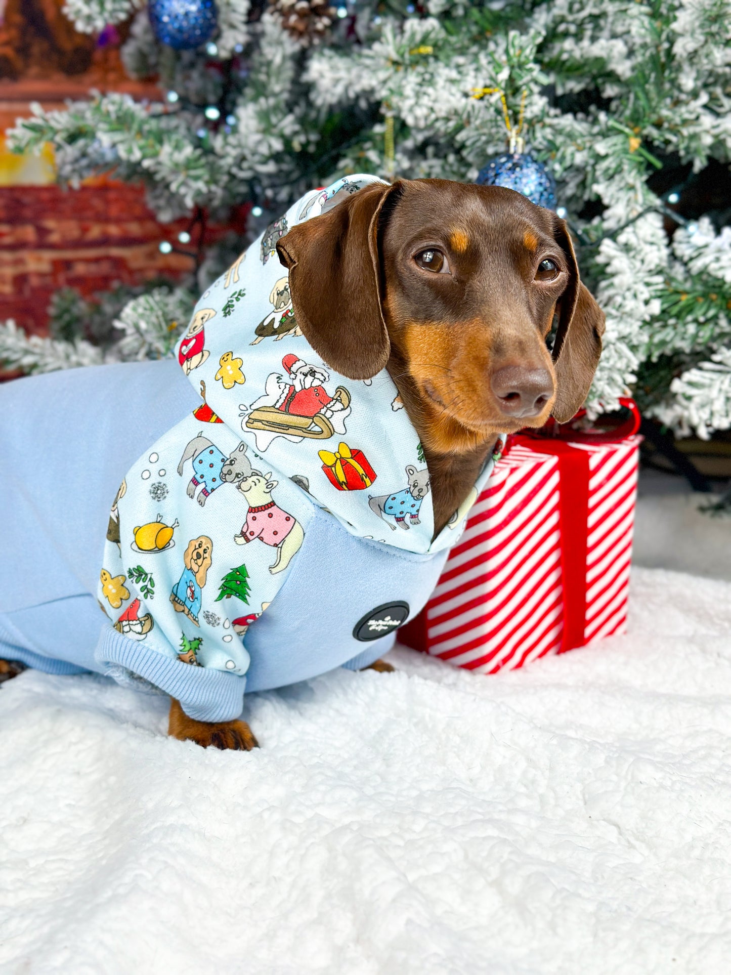 The Santa Paws Dog Hoodie