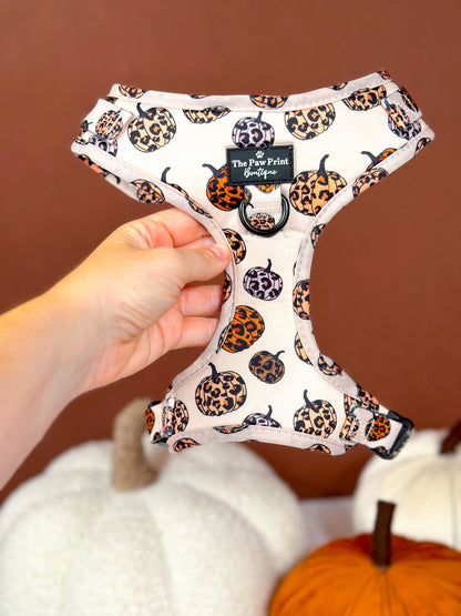 The Leopawrd Pupkins Adjustable Harness