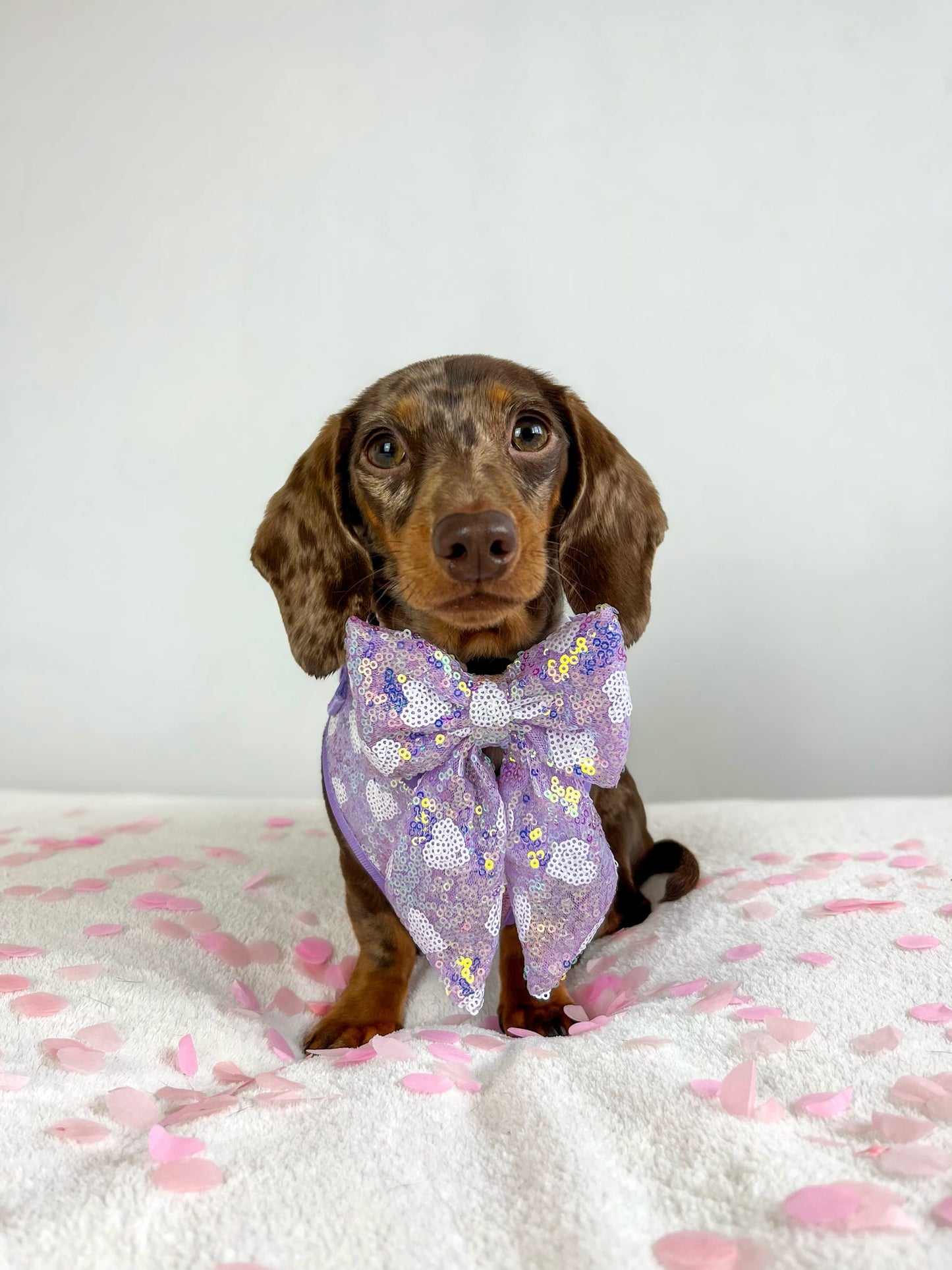 The Sassy in Sequins - Lilac Bow Tie