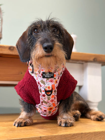 The Pumpkin Pie Adventure Paws Harness