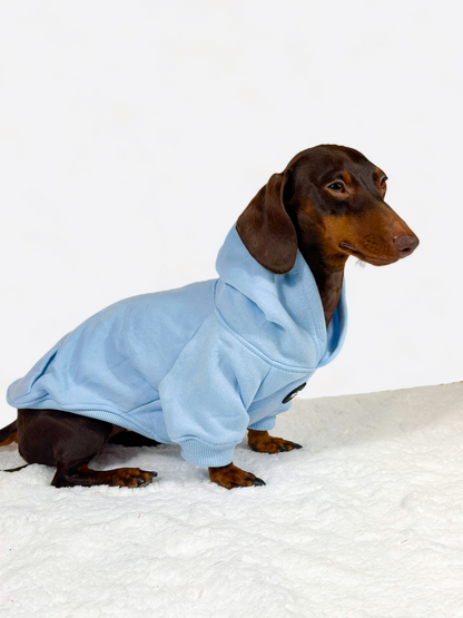 Dog Hoodie - Baby Blue