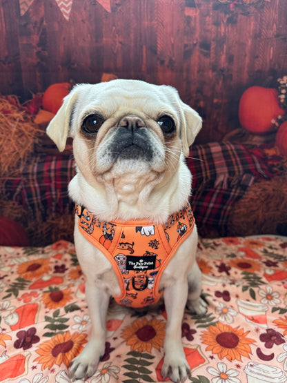 The Happy Howloween Adventure Paws Harness