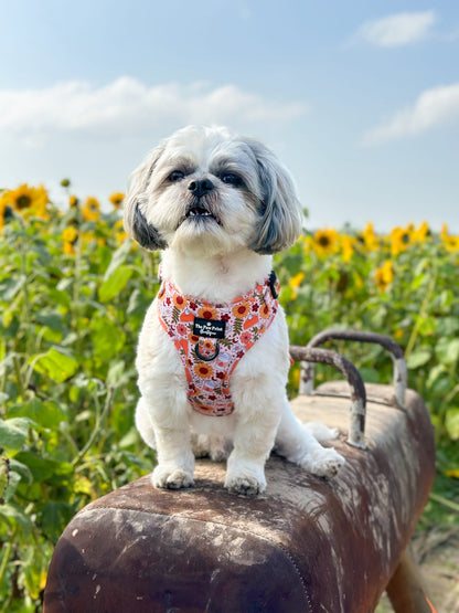 The Pumpkin Pie Adjustable Harness