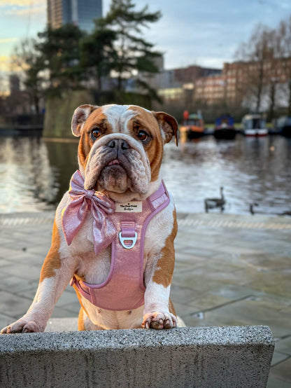 The Pink Pearl Bow Tie